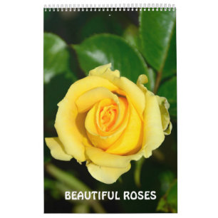 Calendrier 12 mois Beaux Roses
