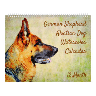 Calendrier 12 Mois Berger allemand Chiens alsaciens Aquarelle