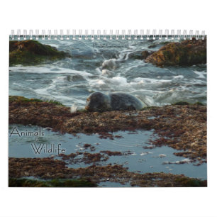 Calendrier 12 Mois d'animaux et de faune Édition 3