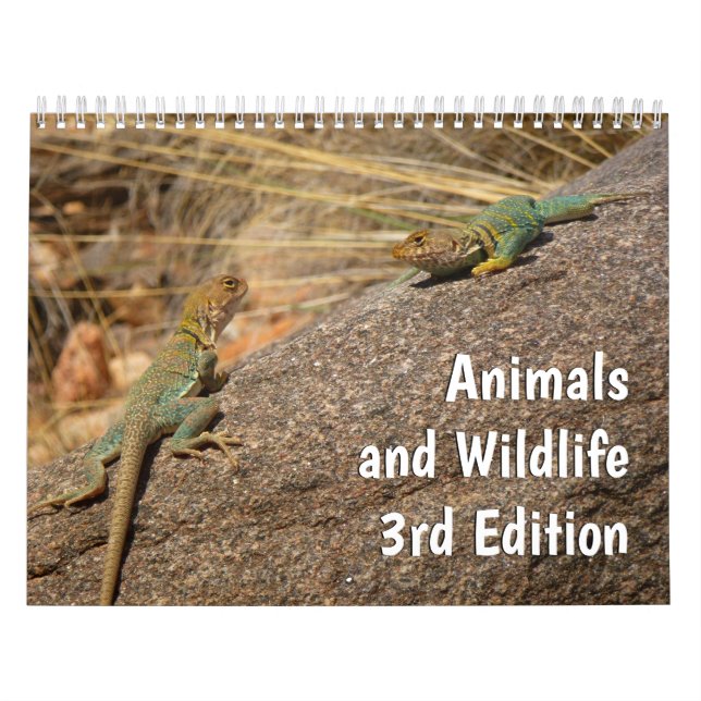 Calendrier 12 Mois d'Animaux et Faune, 3e Édition (Protection)