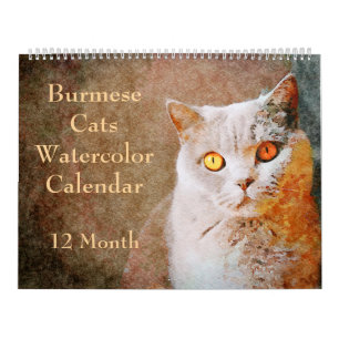 Calendrier 12 Mois d'Aquarelle d'étonnante chats birmans