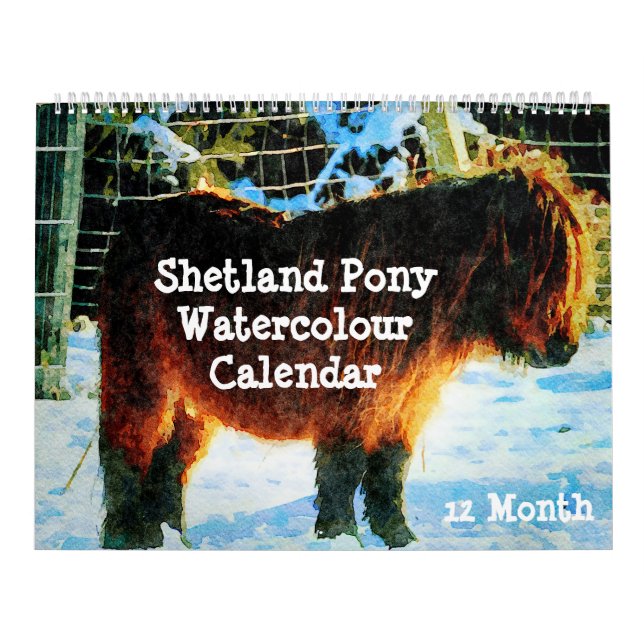 Calendrier 12 Mois Shetland Ponies Aquarelle Peinture Art (Protection)