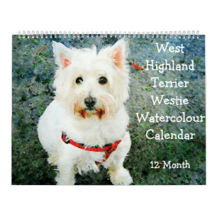 Calendrier 12 Mois West Highland Chiens de Terrier Westies Ca