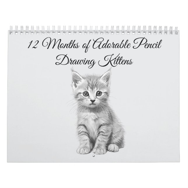 Calendrier 12 Months of Adorable Pencil Drawing Kittens (Protection)