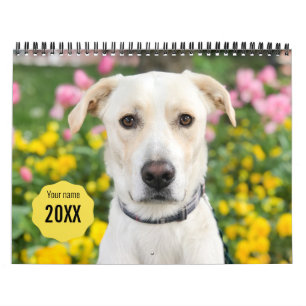 Calendrier 14 Photo Couverture complète - Moderne personnali
