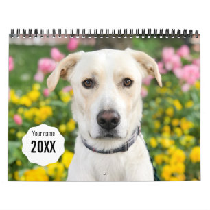Calendrier 14 Photo Couverture complète - Moderne Personnali