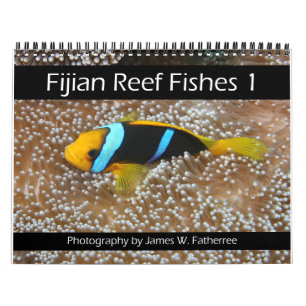 Calendrier 1 des pêches sur les récifs fidjiens