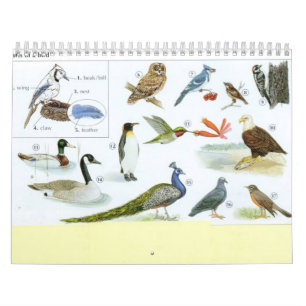 Calendrier 1 d'oiseau