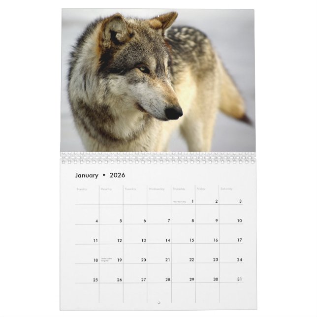 Calendrier 2009 (Jan 2026)