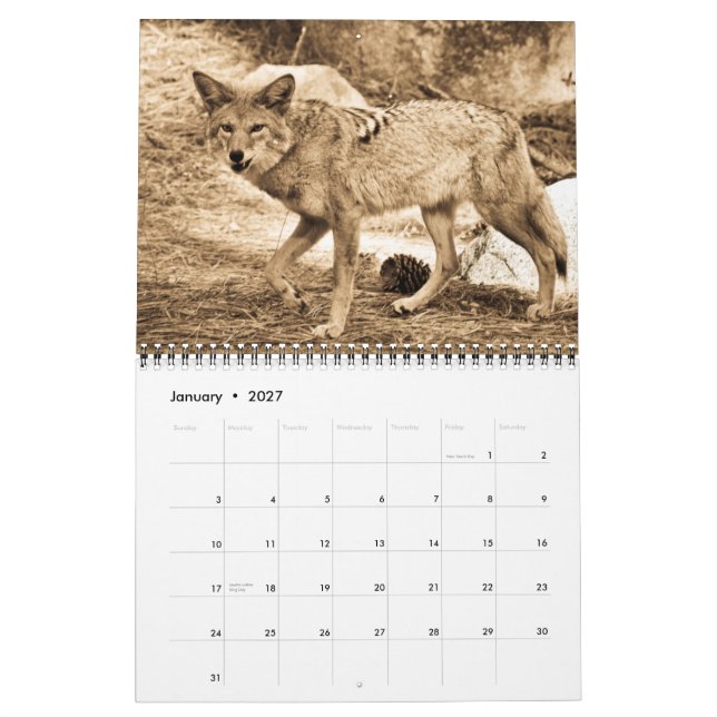 Calendrier 2009 (Jan 2027)