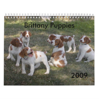 Calendrier 2009 de chiots de la Bretagne