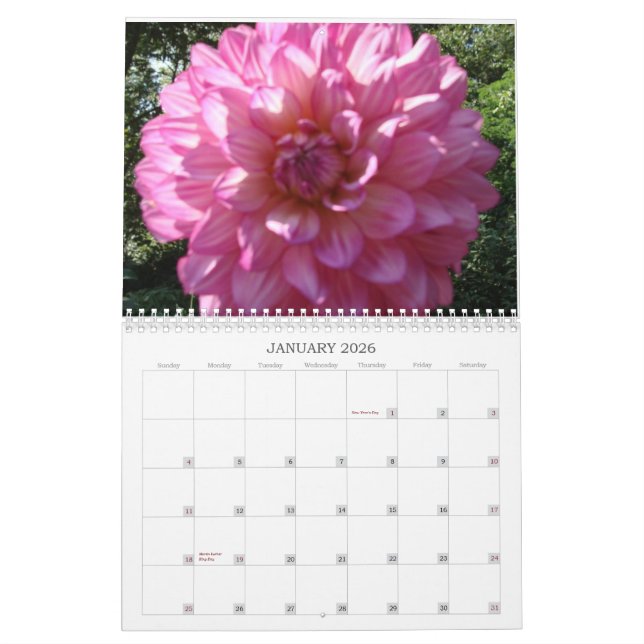 Calendrier 2009 de dahlia (Jan 2026)