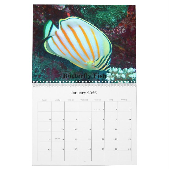 Calendrier 2009 de vie marine,… (Jan 2026)