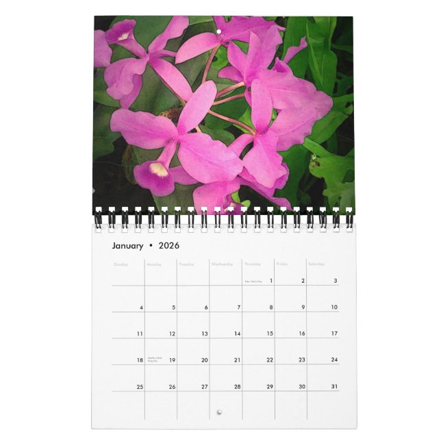 Calendrier 2009 : Une année des orchidées d'Hawaï (Jan 2026)