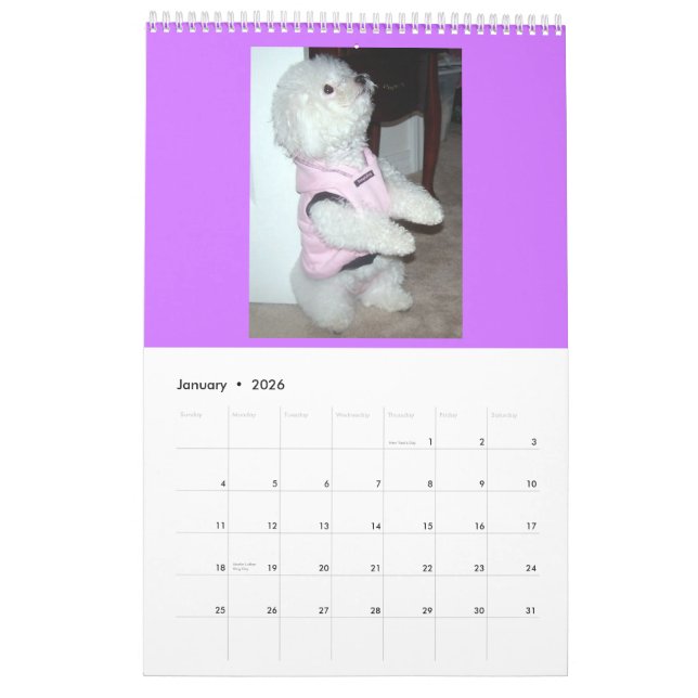 Calendrier 2010 (Jan 2026)