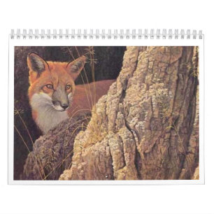 Calendrier 2010 de Fox