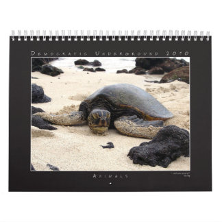 Calendrier 2010 de groupe de photographie de du