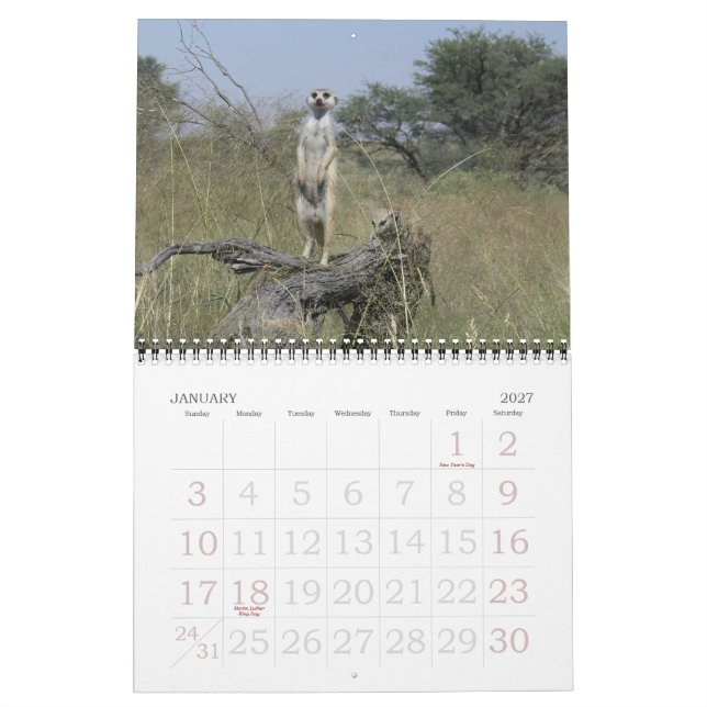Calendrier 2010 de KMP (Jan 2027)