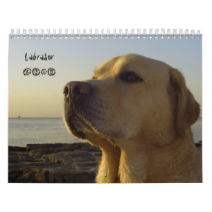 Calendrier 2010 de labrador retriever