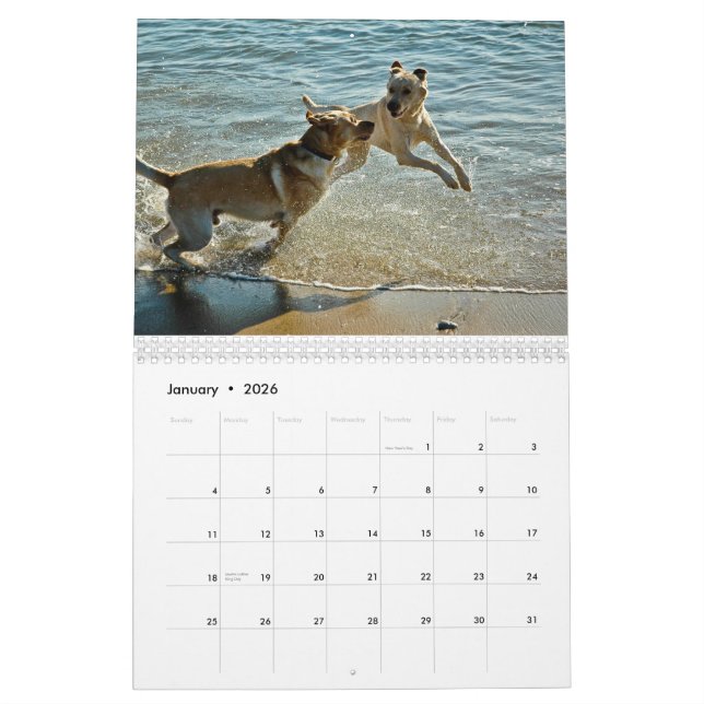 Calendrier 2010 d'Oceandoggy (Jan 2026)