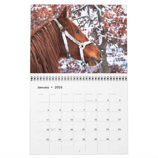 Calendrier 2011 de cheval (Jan 2026)