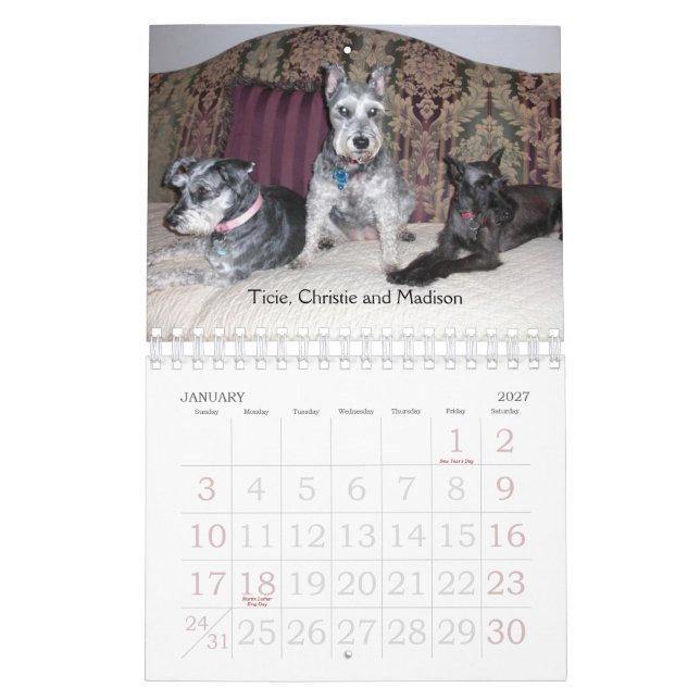 Calendrier 2011 de SRM (Jan 2027)