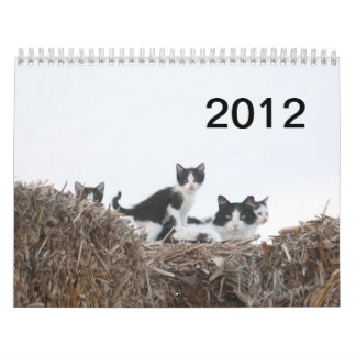 Calendrier 2012 chatons de ranch de puits