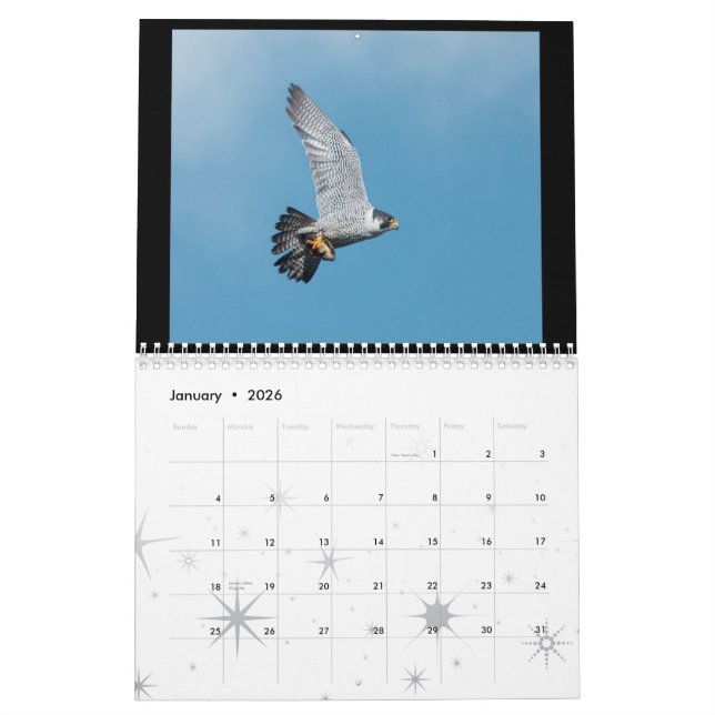 Calendrier 2012 de faucon pérégrin de Rochester (Jan 2026)