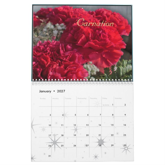 CALENDRIER 2012 DE MOIS DE NAISSANCE (Jan 2027)