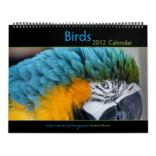 Calendrier 2012 d'oiseau