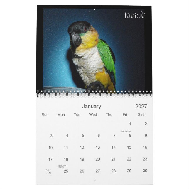 Calendrier 2012 fou de caïque (Jan 2027)