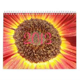 calendrier 2013