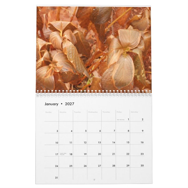 calendrier 2013 (Jan 2027)