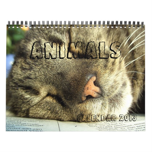 Calendrier 2013 - Animaux (Protection)