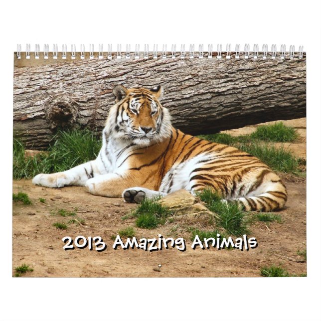 Calendrier 2013 Animaux Extraordinaires Animaux sauvages 12 m (Protection)