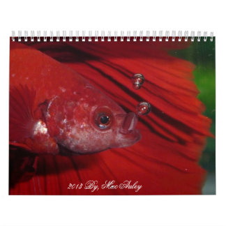 Calendrier 2013 de Betta de demi-lune par Mac