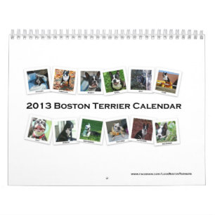 Calendrier 2013 de Boston Terrier