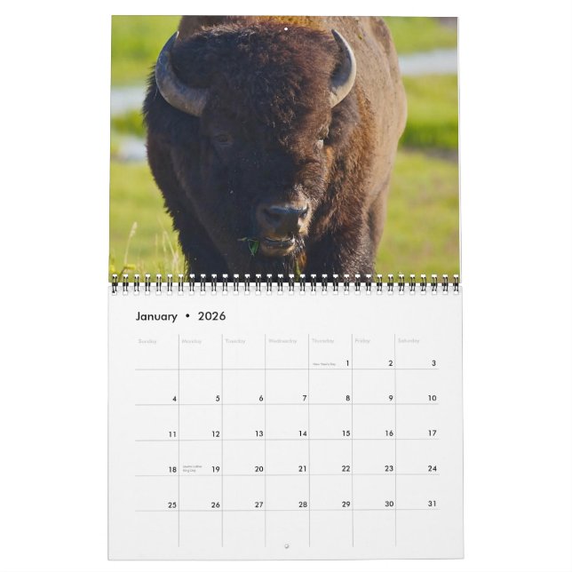 Calendrier 2013 de Buffalo (Jan 2026)