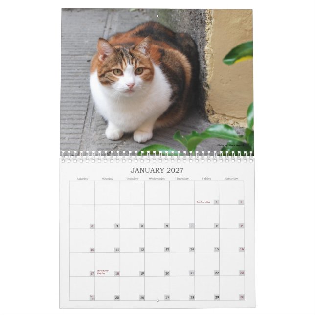 Calendrier 2013 de chat (Jan 2027)