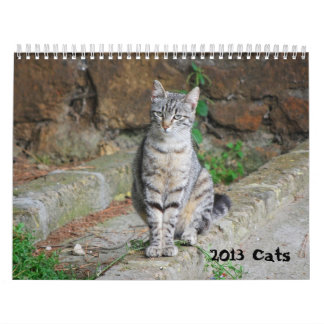 Calendrier 2013 de chat
