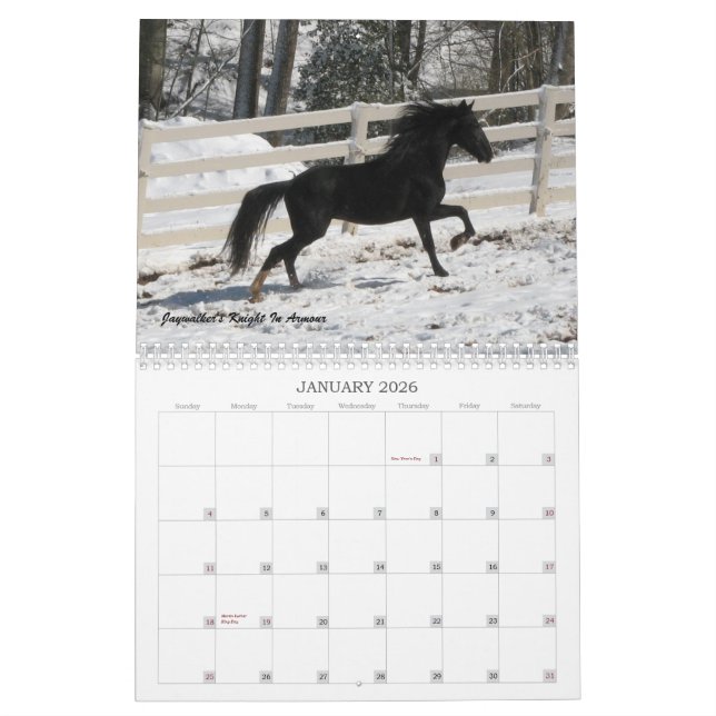 Calendrier 2013 de cheval de montagne (Jan 2026)