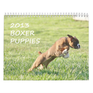 Calendrier 2013 de chiot de boxeur