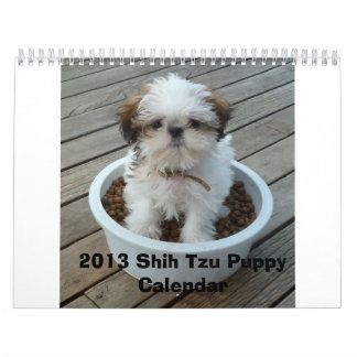 Calendrier 2013 de chiot de Shih Tzu