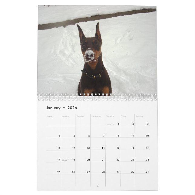Calendrier 2013 de dobermann (Jan 2026)