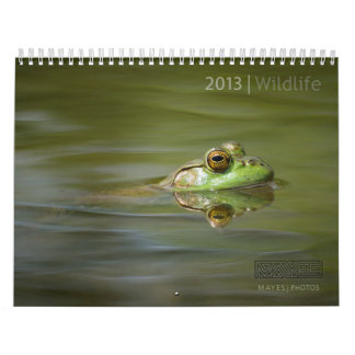 CALENDRIER 2013 DE FAUNE PAR DES PHOTOS DE MAYES