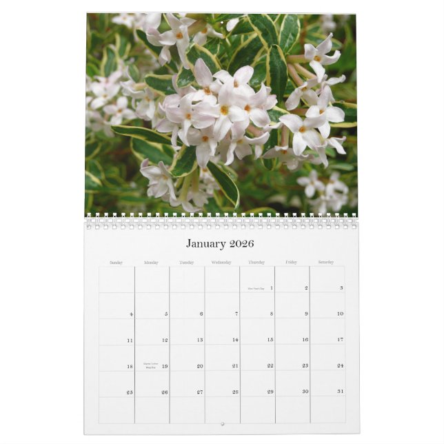 Calendrier 2013 de fleur (Jan 2026)