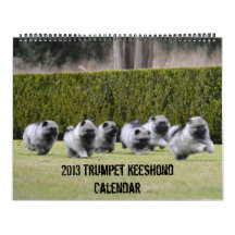 Calendrier 2013 de Keeshond de trompette mis à