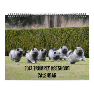 Calendrier 2013 de Keeshond de trompette mis à