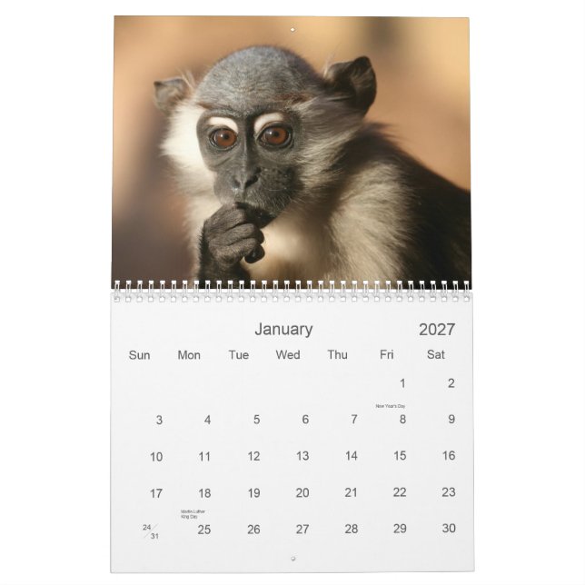 Calendrier 2013 de singe (Jan 2027)