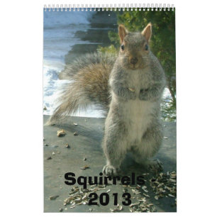 Calendrier 2013 d'écureuil